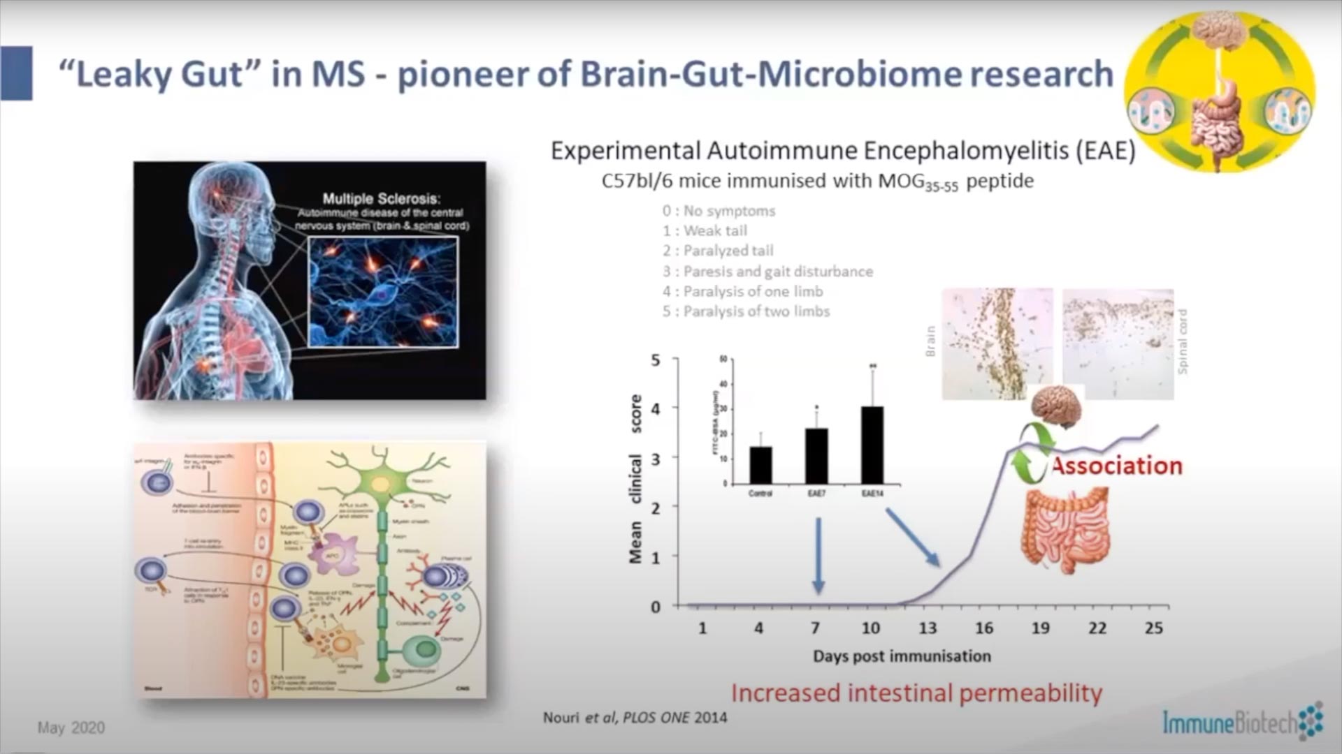 Intestinal Microbiota Brain Interplay – MSBN