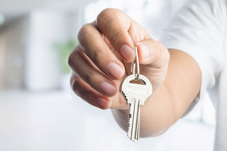 probiotics turn key solutions