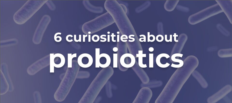 Six curiosities about probiotics